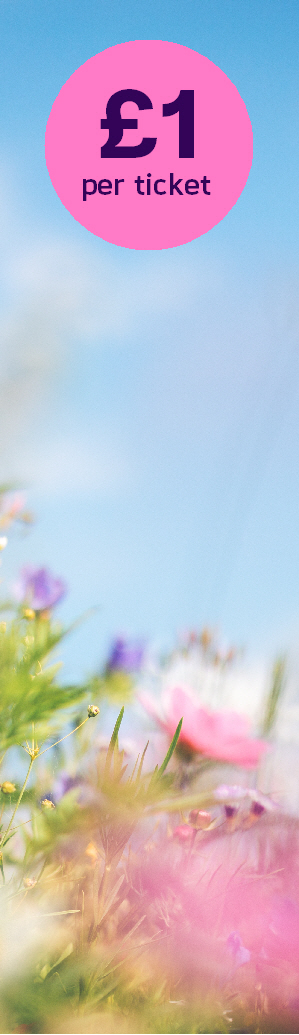 Its only £1 per entry